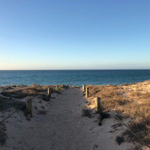 Meet your Posher, Anne